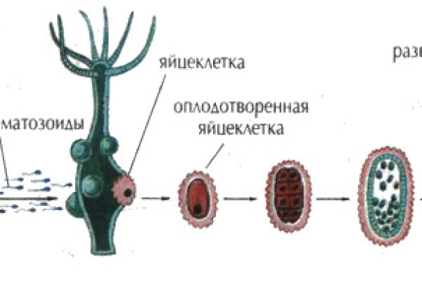 Kraken магазин ссылка