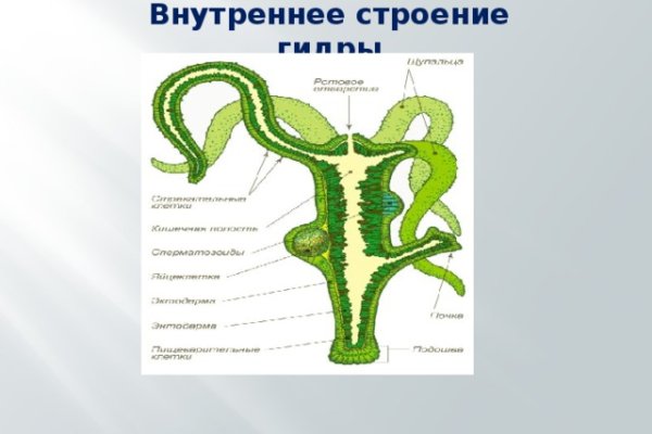 Кракен 12 сайт